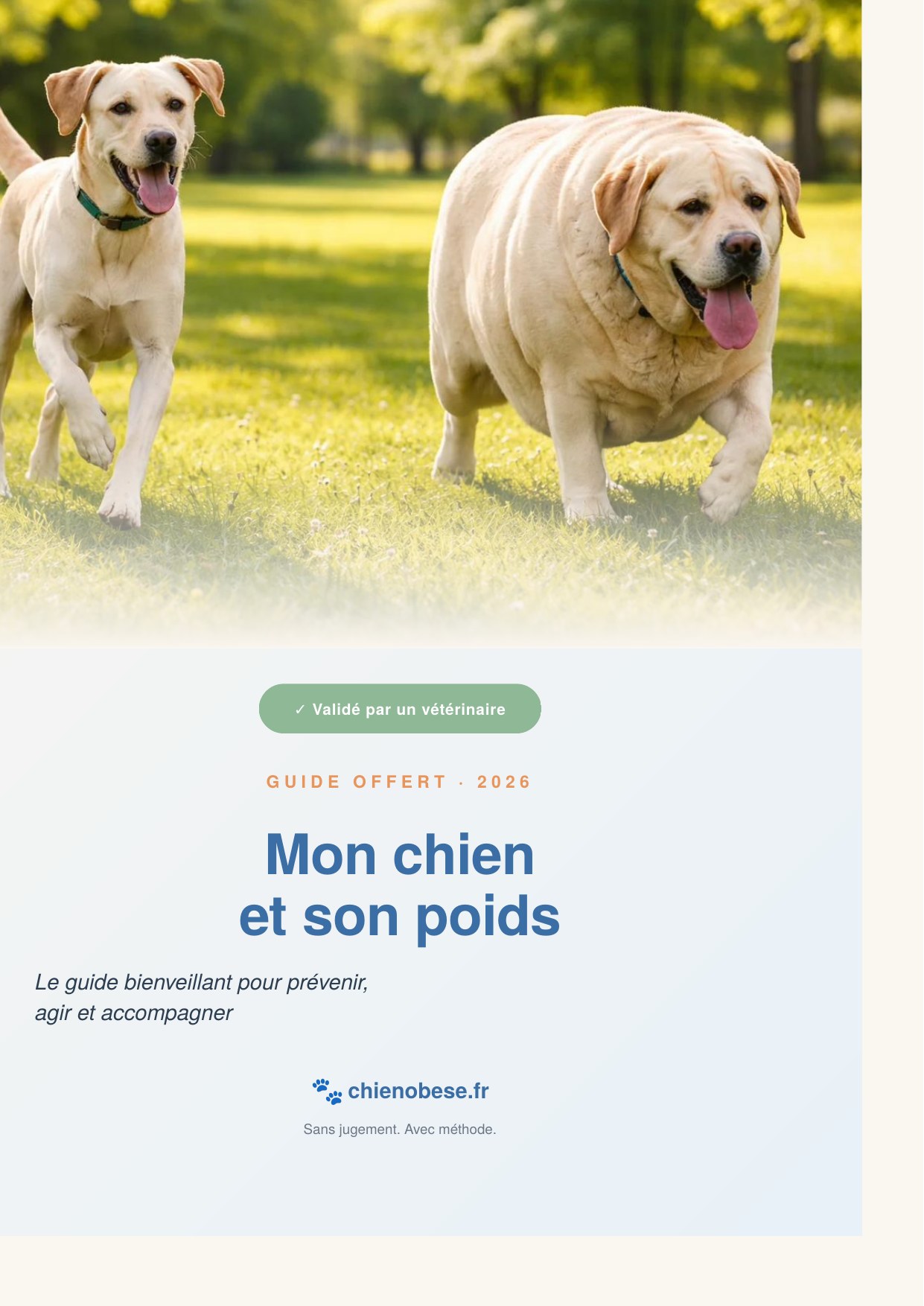 Guide Mon chien et son poids — chienobese.fr