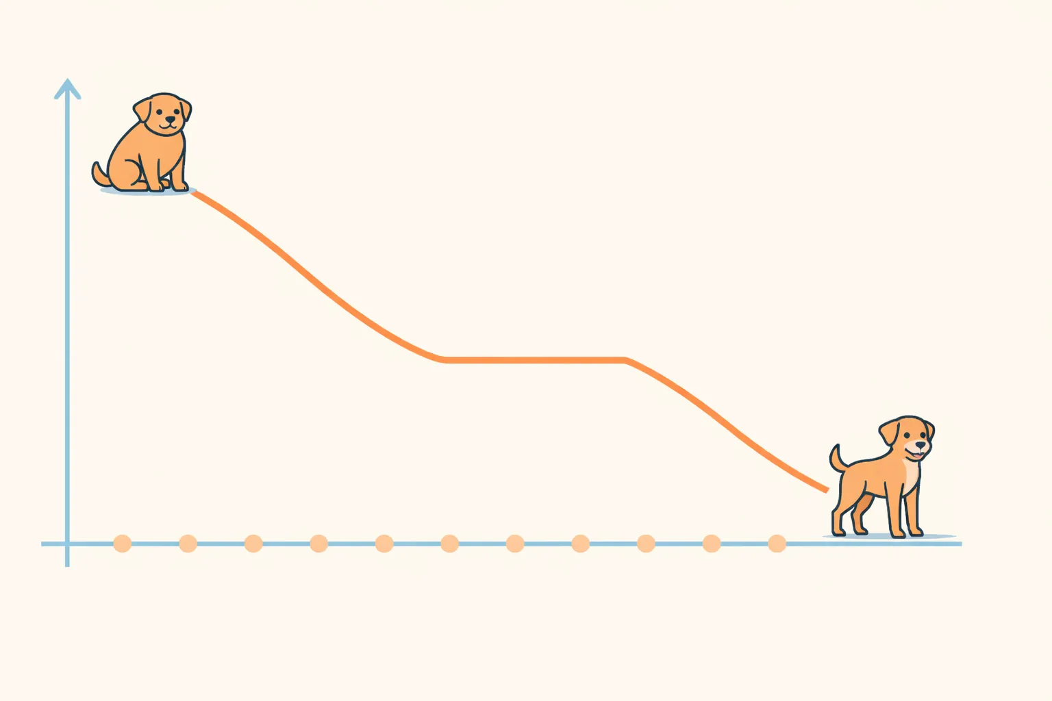 Illustration infographie courbe de perte de poids chien avec plateau semaines 5 à 7 puis reprise de la descente